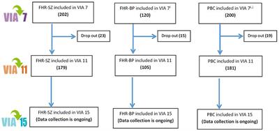 The Danish High-Risk and Resilience Study—VIA 15 – A Study Protocol for the Third Clinical Assessment of a Cohort of 522 Children Born to Parents Diagnosed With Schizophrenia or Bipolar Disorder and Population-Based Controls